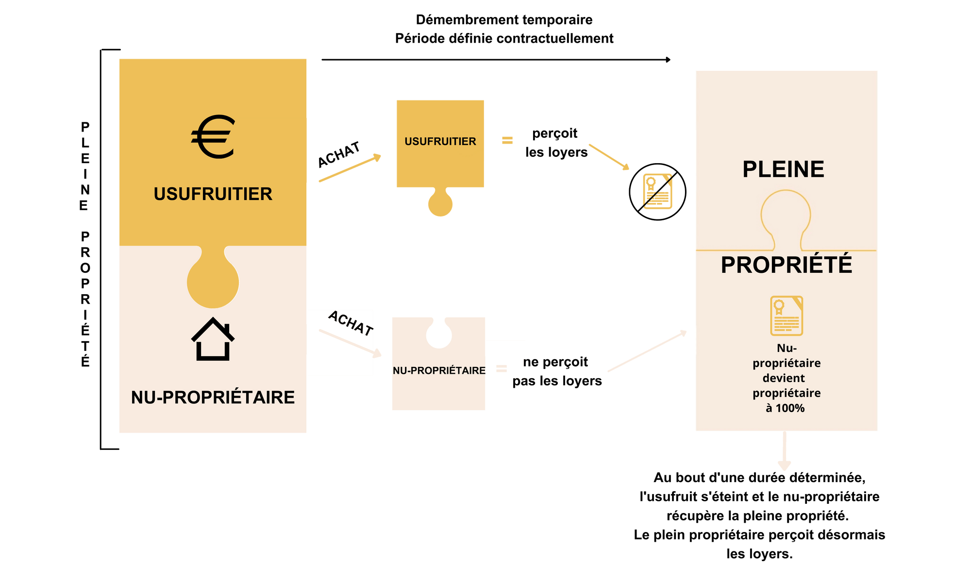 nue-pro-schema-scpi.png