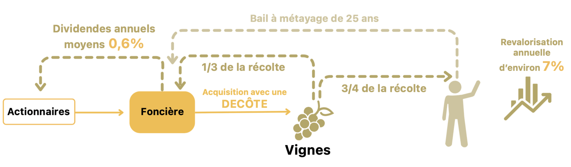 fonctionnement-vignes.png